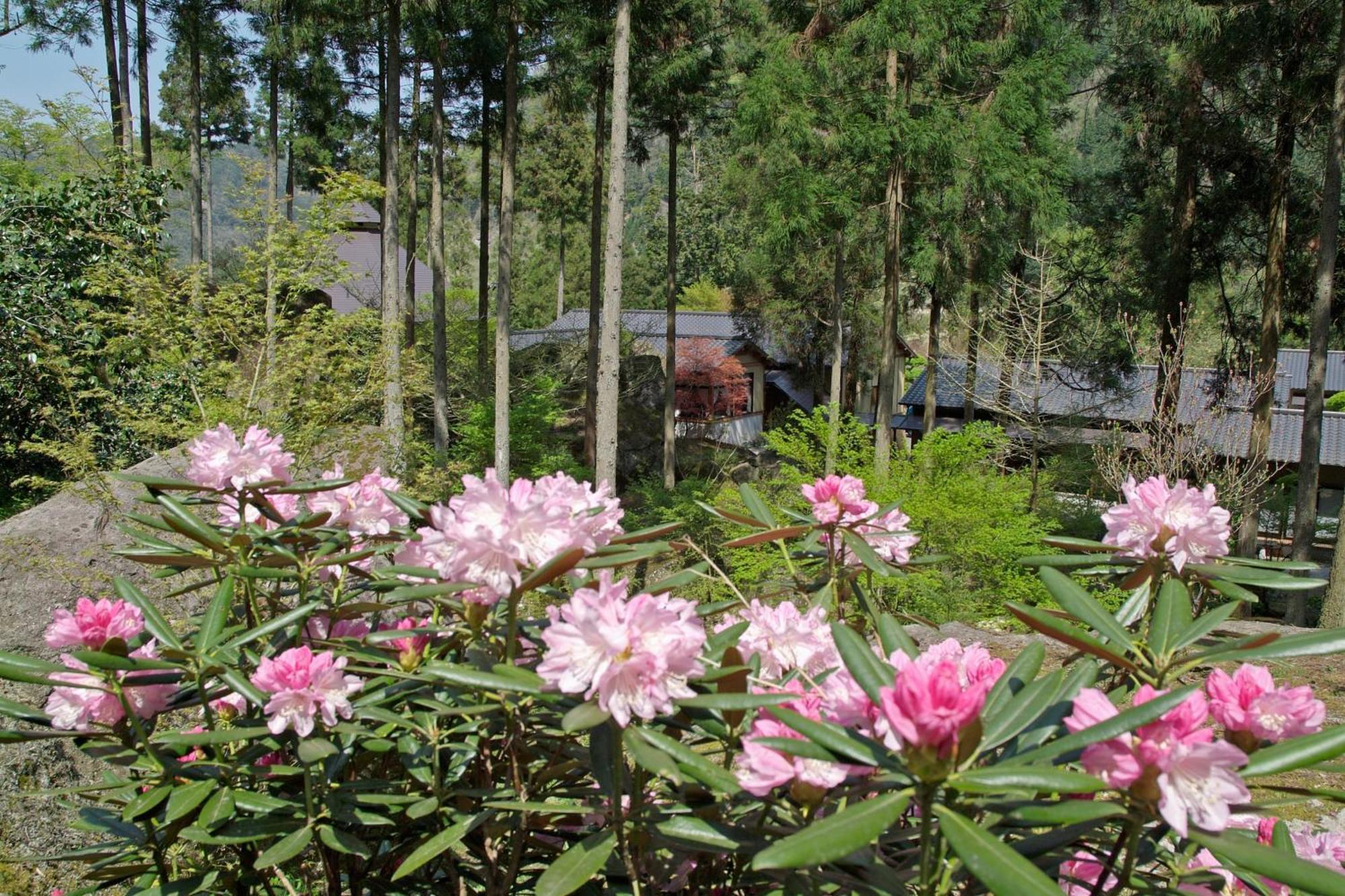 Auberge Funoki Nakatsu Экстерьер фото